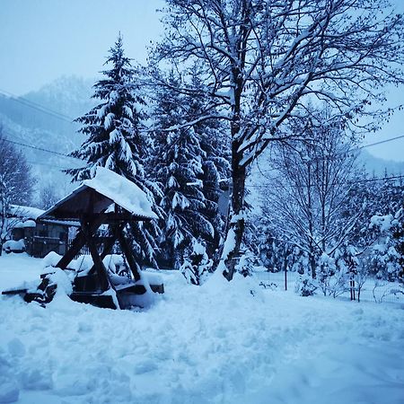 Cabana Valea Rea, Boga Boga  Zewnętrze zdjęcie